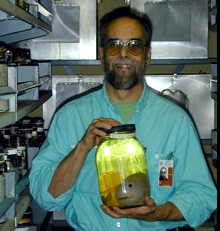 David Stein David Stein