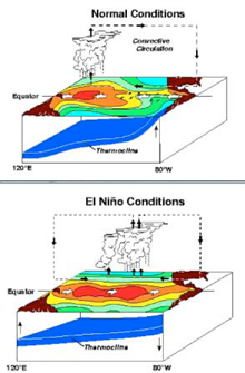 Model showing condition changes Model showing condition changes