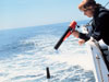 World Ocean Database