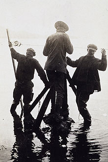 Taping in southeast Alaska as the tide comes in, 1916