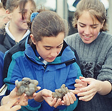 These children are examining XXXX as means of understanding more about the oceans and coasts.
