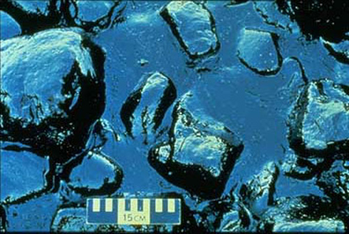 Pooled oil from the Exxon Valdez sits between rocks on the shore.
