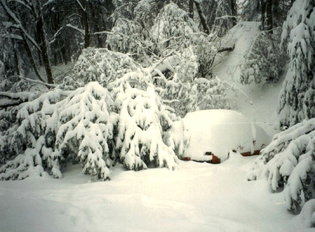 Snow-Covered