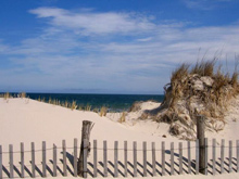 Photo of coastline