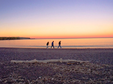 people on a beach