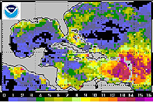 coral bleaching