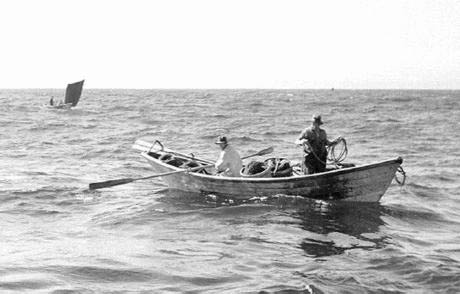 Nineteenth century biologists work from the launch Phalarope