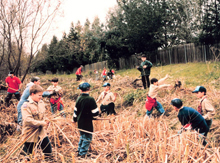 Building a streambed to improve fisheries habitat Building a streambed to improve fisheries habitat