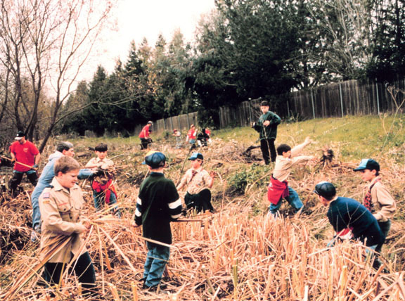 Building a streambed to improve fisheries habitat