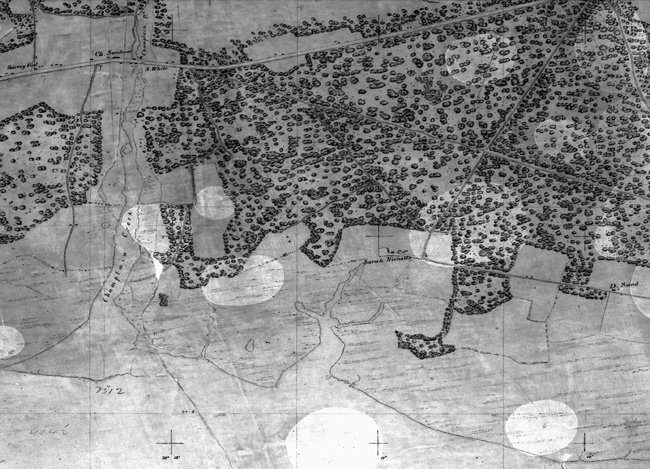 Portion of First T-sheet