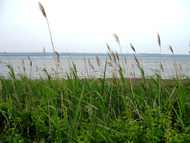 Narragansett Bay National Estuarine Research Reserve in Rhode Island