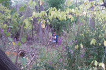 The use of GPS has revolutionized surveying.