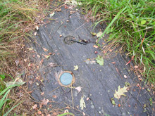 Buttermilk: The Oldest Surviving Survey Mark