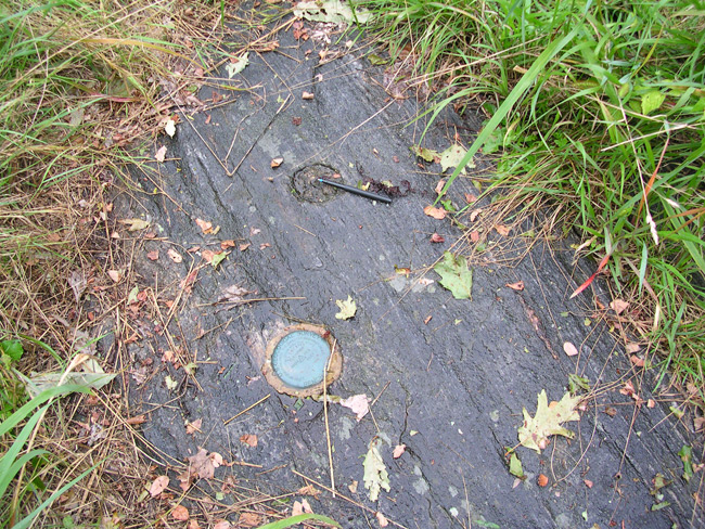 Buttermilk: The Oldest Surviving Survey Mark