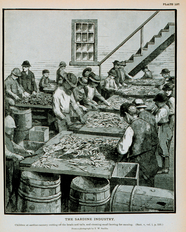 Goode successfully gathered the information on the state of American fisheries, but many of the sketchs he included in the two atlases were beautiful works of art that captured an interesting segment of 19th century Americana.