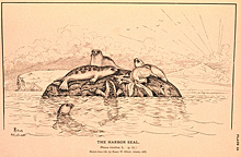 In the 1880s, Goode began a study to amass information on the status of American fisheries, including marine mammals