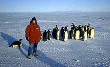 Dr. Susan Solomon and some new friends on Antarctic expedition in 1987 near McMurdo Station. Dr. Susan Solomon and some new friends on Antarctic expedition in 1987 near McMurdo Station.