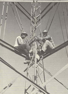 Bilby Tower with Supers Bilby Tower with Supers