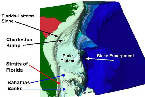 Map of Charleston Bump