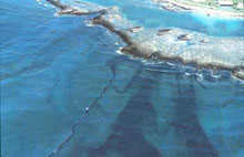 Oil slicks moving onto coral reefs at Galeta at low tide; Bahia las Minas refinery spill, Panama, April, 1986. Oil slicks moving onto coral reefs at Galeta at low tide; Bahia las Minas refinery spill, Panama, April, 1986.