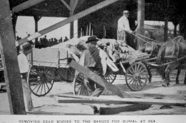 Photo of bodies being taken to sea
