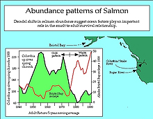 Numbers of salmon returning to Alaska and Washington/Oregon showed opposite patterns from 1950-1990 Numbers of salmon returning to Alaska and Washington/Oregon showed opposite patterns from 1950-1990