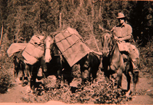 IMETs preparing to travel to fire camp, circa 1920 IMETs preparing to travel to fire camp, circa 1920