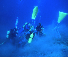 Divers Divers