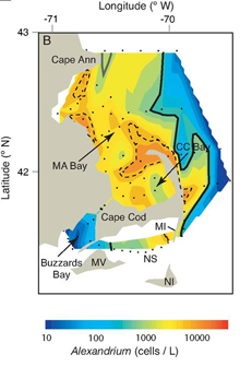 Alexandrium Abundance Data Alexandrium Abundance Data