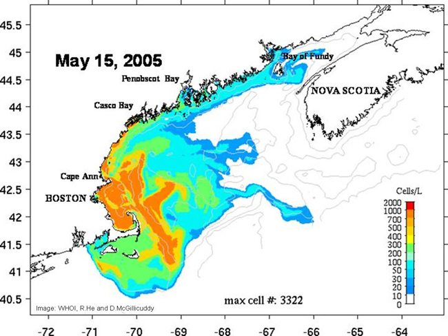 Computer-Modeled Image of Hindcast of the 2005 Bloom