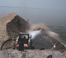 Farm-raised oysters are added to reef habitat in the Chesapeake Bay. Farm-raised oysters are added to reef habitat in the Chesapeake Bay.