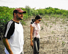 Sea Grant staff visiting a site with re-planted mangroves in Honduras