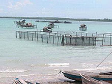 Fish nets in Indonesia Fish nets in Indonesia
