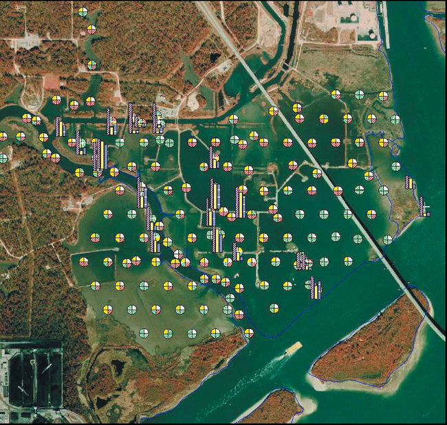 The  Calcasieu Estuary in southwest Louisiana