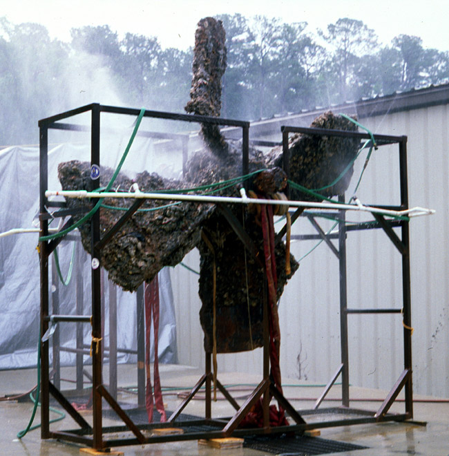 Monitor's propeller covered in rust