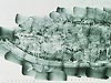Monitor Photomosaics