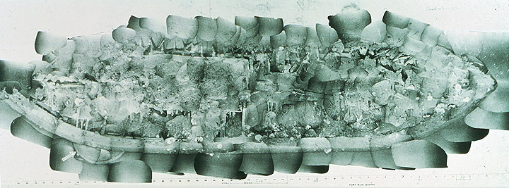 Monitor Photomosaic