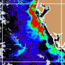 Satellite imagery of a HAB event off the west coast of Florida Satellite imagery of a HAB event off the west coast of Florida