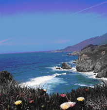 This Pacific NW coastline is one example of the many ways land meets the ocean. This Pacific NW coastline is one example of the many ways land meets the ocean.