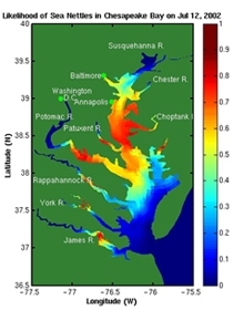This image illustrates the chances of encountering sea nettles in the Chesapeake Bay. This image illustrates the chances of encountering sea nettles in the Chesapeake Bay.