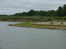Horsehead’s  Living Shoreline Project