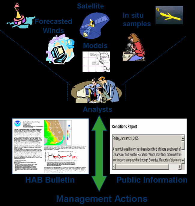 HAB Bulletin