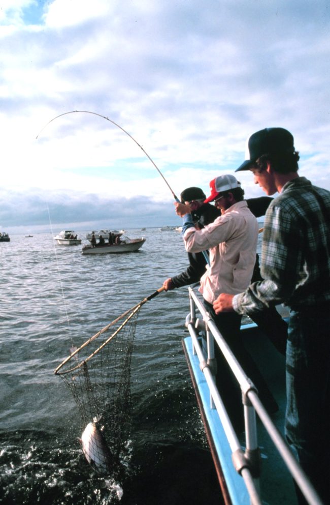 Recreational Fishing
