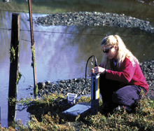 NERR researcher working with a SWMP datalogger in the field. NERR researcher working with a SWMP datalogger in the field.
