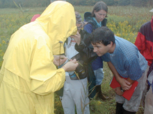 Coastal Training Program workshop participants learn to distinguish native and non-native phragmites at Great Bay NERR. Coastal Training Program workshop participants learn to distinguish native and non-native phragmites at Great Bay NERR.