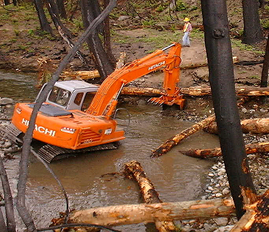Woody debris is placed in a stream to create habitat suitable for spawning salmon