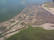 As part of Aransas National Wildlife Refuge, this new marsh adds to the foraging area of endangered whooping cranes.