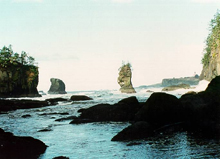 Mussel Watch site at Cape Flattery, Washington. Mussel Watch site at Cape Flattery, Washington.