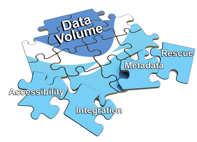 data challenges puzzle piece