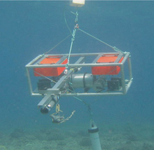 The Bottom fish Camera (BotCam) with digital video recorder, underwater video cameras, pressure housing for the electronics, and buoyancy control foam The Bottom fish Camera (BotCam) with digital video recorder, underwater video cameras, pressure housing for the electronics, and buoyancy control foam